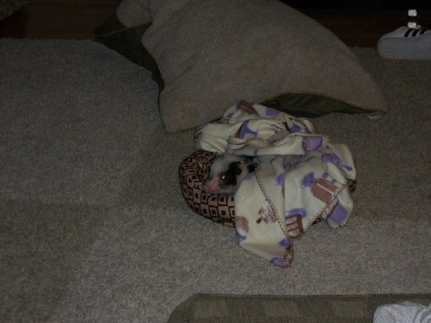 見知らぬ土地で見知らぬ人