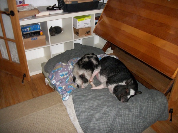 あなたの台所に行くなら、私に教えてください