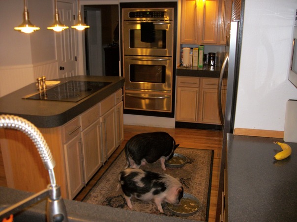 キッチンがどこにある我々は知っている